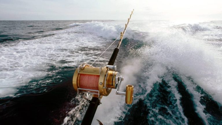 tour_pesca_baja_california_sur_1