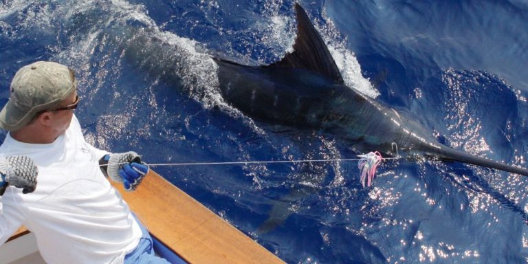 tour_pesca_baja_california_sur_20250219_120929_726051_1