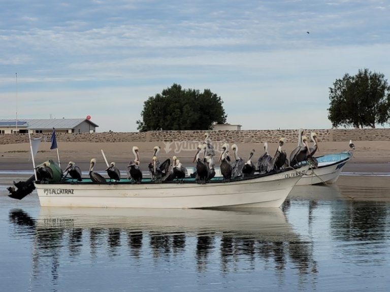 tour_pesca_baja_california_sur_3